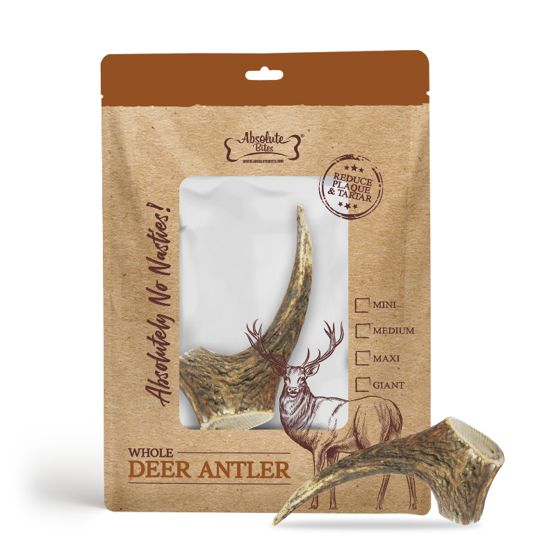 Absolute Bites Single Ingredient Dog Chew - Whole Deer Antlers Dental Chew [4 Sizes]