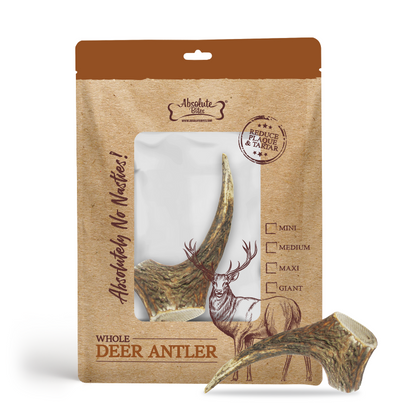 Absolute Bites Single Ingredient Dog Chew - Whole Deer Antlers Dental Chew [4 Sizes]