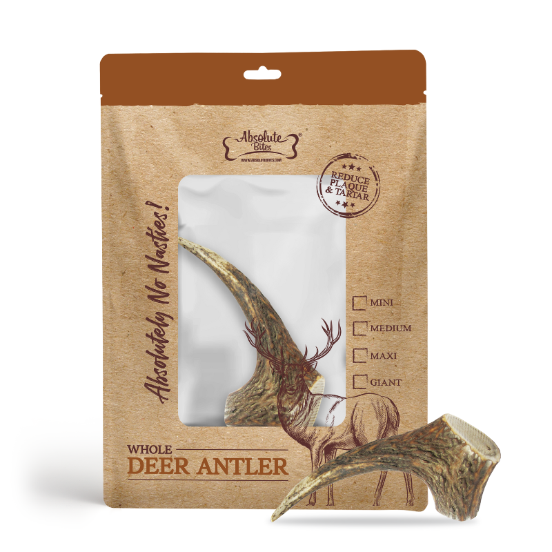 Absolute Bites Single Ingredient Dog Chew - Whole Deer Antlers Dental Chew [4 Sizes]