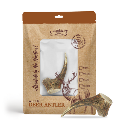 Absolute Bites Single Ingredient Dog Chew - Whole Deer Antlers Dental Chew [4 Sizes]