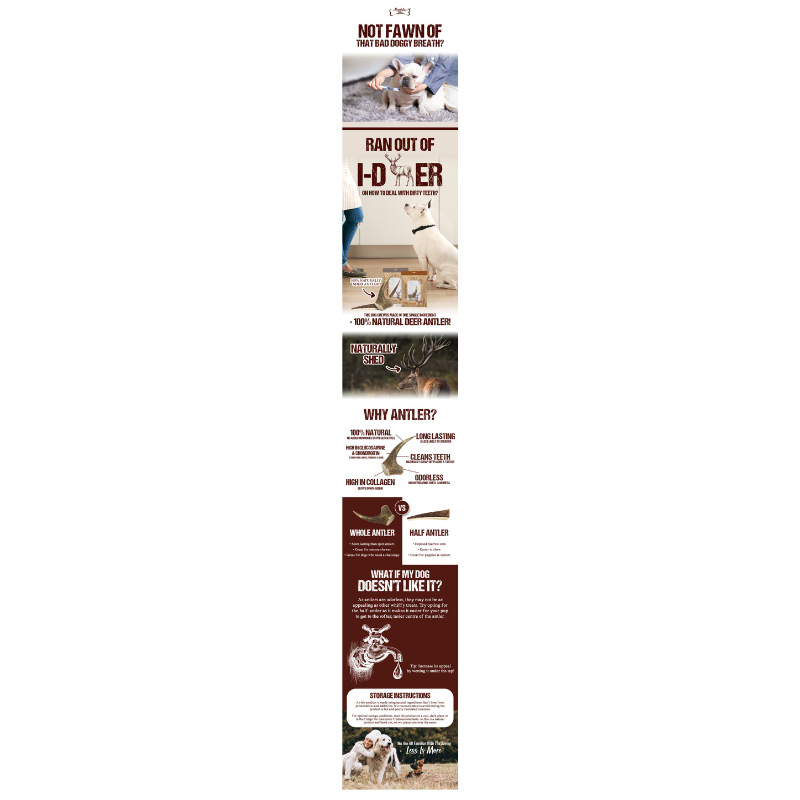Absolute Bites Single Ingredient Dog Chew - Whole Deer Antlers Dental Chew [4 Sizes]