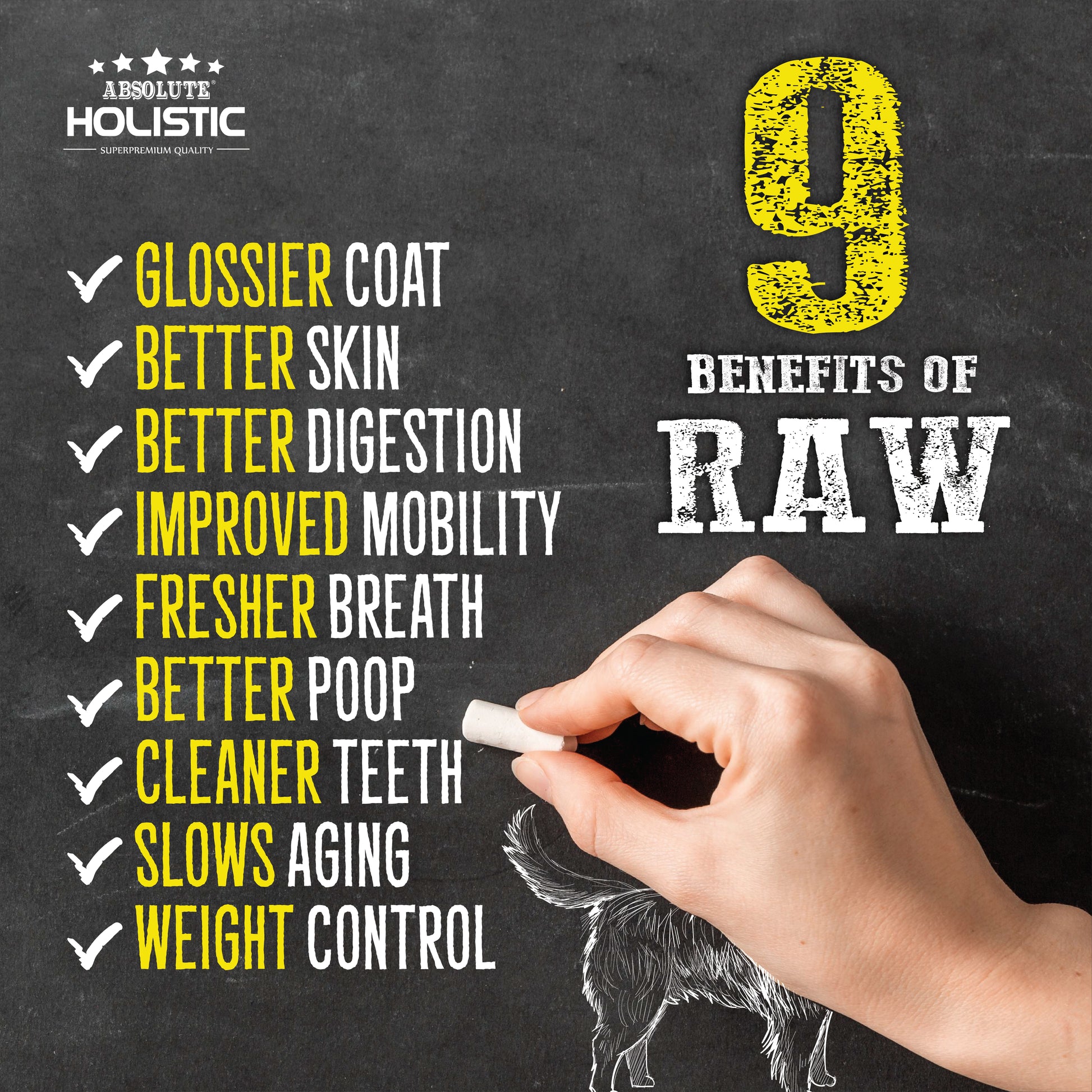 Absolute Holistic Complete & Balanced Freeze Dried Raw Nuggets Dog Food - Beef (14oz)