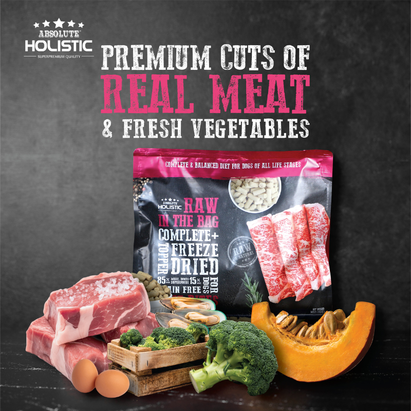 Absolute Holistic Raw in the Bag Complete Freeze Dried Dog Food - Beef Bites - 14oz