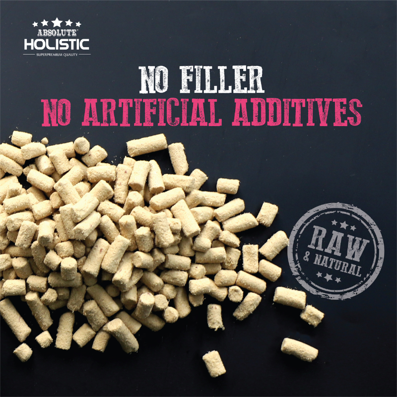 Absolute Holistic Raw in the Bag Complete Freeze Dried Dog Food - Salmon Bites - 14oz