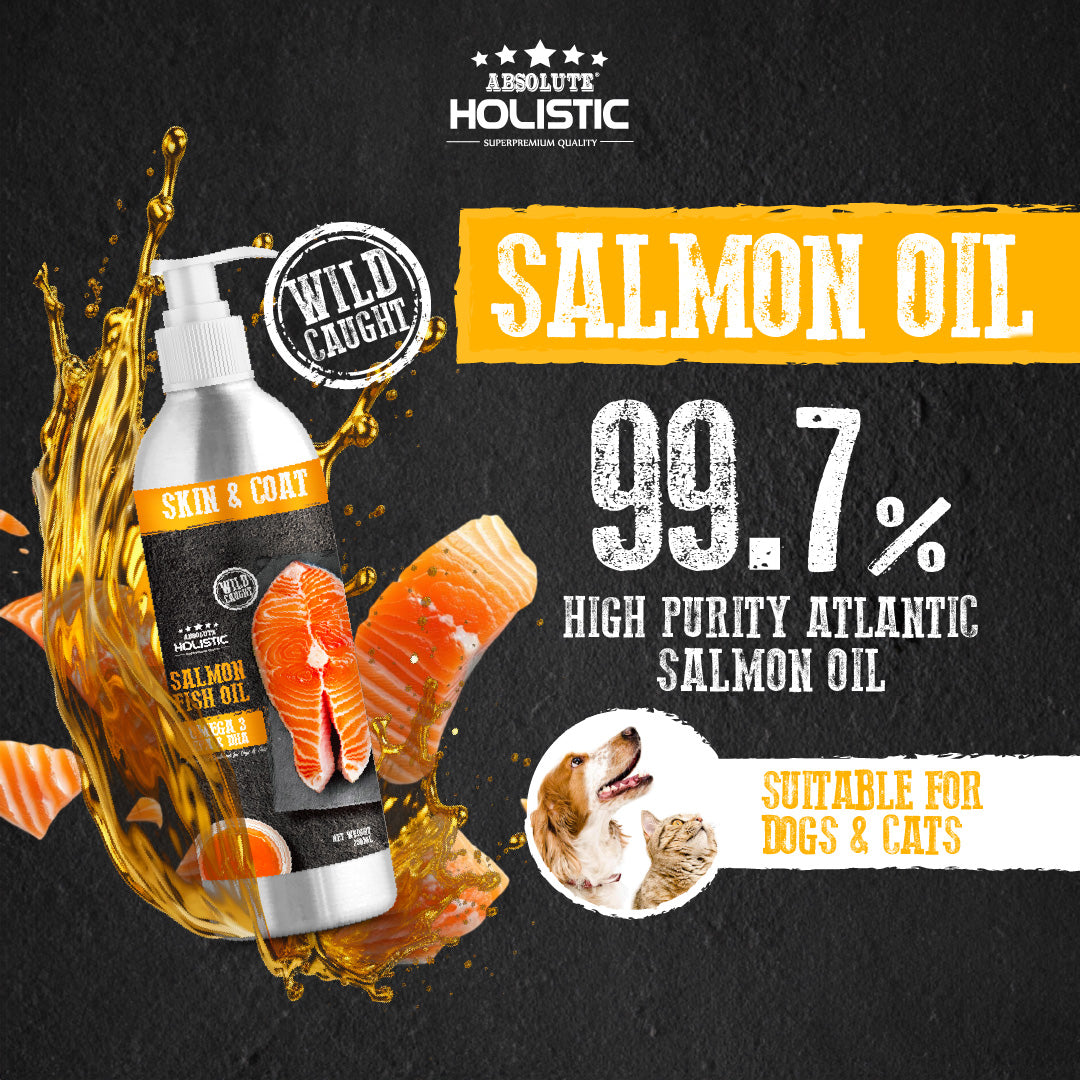 Absolute Holistic Wild Salmon Fish Oil Natural Pet Supplement for Cats & Dogs (250ml)
