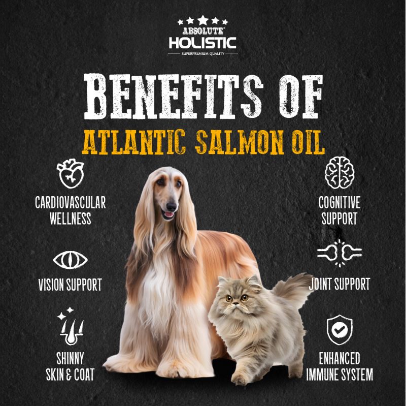 Absolute Holistic Wild Salmon Fish Oil Natural Pet Supplement for Cats & Dogs (250ml)