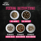 Absolute Holistic Raw in the Bag Complete Freeze Dried Dog Food - Salmon Bites - 14oz