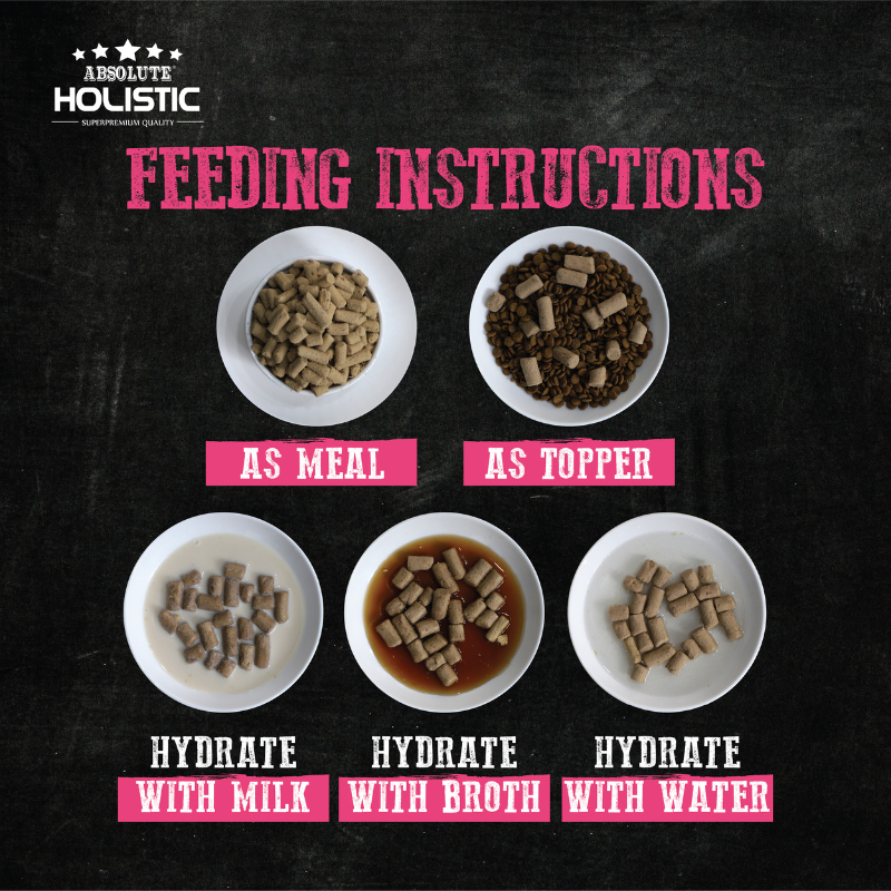 Absolute Holistic Raw in the Bag Complete Freeze Dried Dog Food - Pork Bites - 14oz