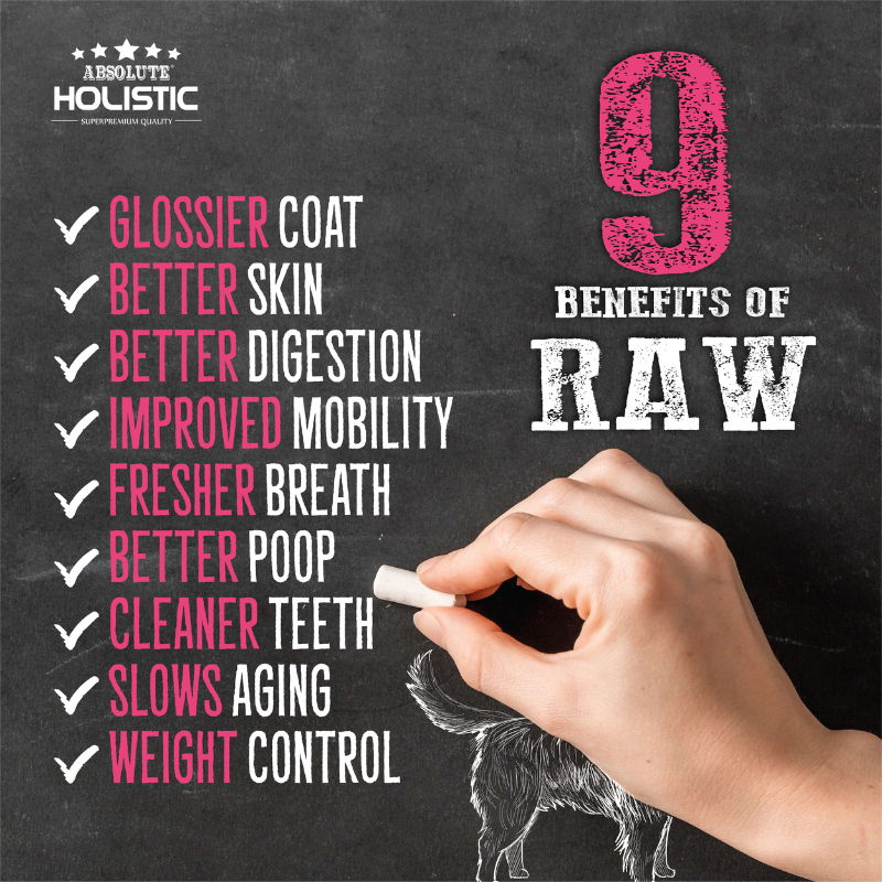 Absolute Holistic Raw in the Bag Complete Freeze Dried Dog Food - Pork Bites - 14oz