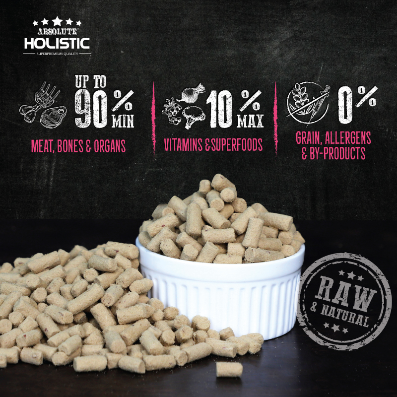 Absolute Holistic Raw in the Bag Complete Freeze Dried Dog Food - Pork Bites - 14oz