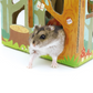 Animan Cardboard Playland for Hamsters - Forest