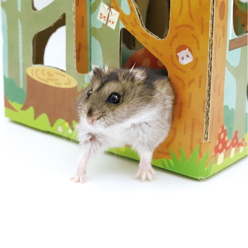 Animan Cardboard Playland for Hamsters - Forest