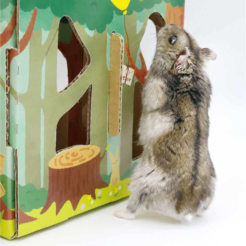 Animan Cardboard Playland for Hamsters - Forest