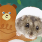 Animan Cardboard Playland for Hamsters - Forest