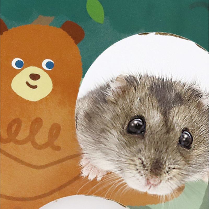 Animan Cardboard Playland for Hamsters - Forest