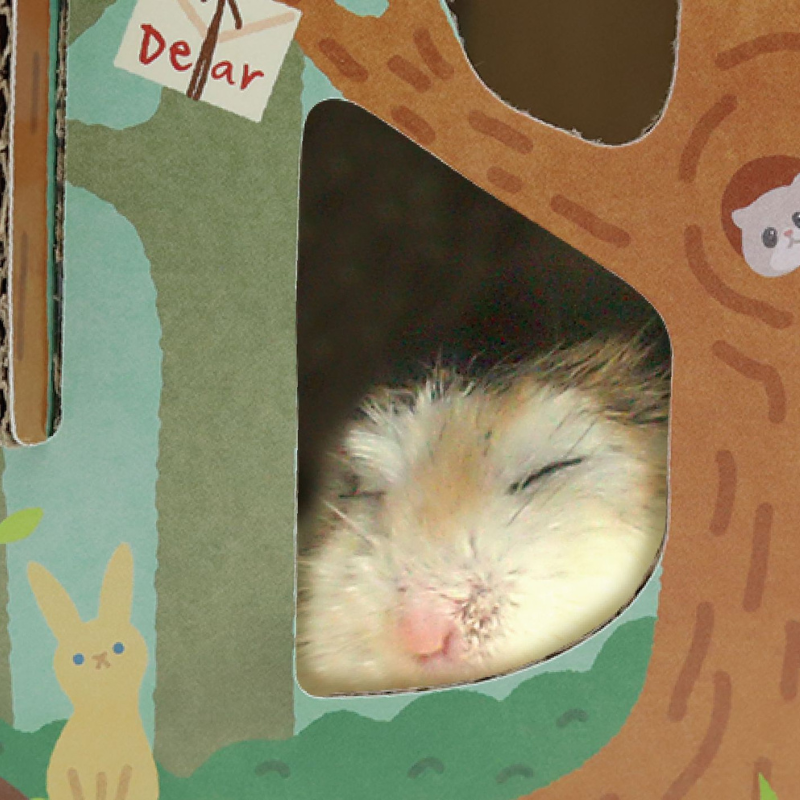 Animan Cardboard Playland for Hamsters - Forest