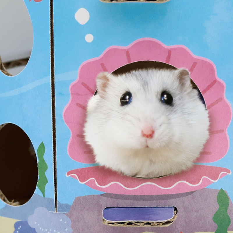 Animan Cardboard Playland for Hamsters - Sea