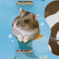 Animan Cardboard Playland for Hamsters - Sea