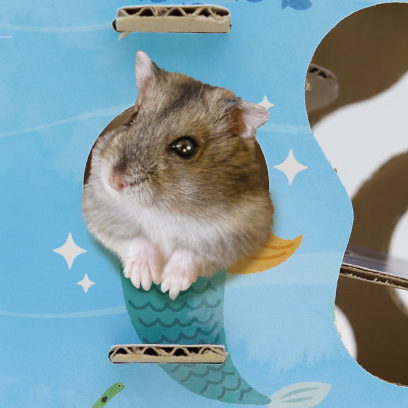 Animan Cardboard Playland for Hamsters - Sea