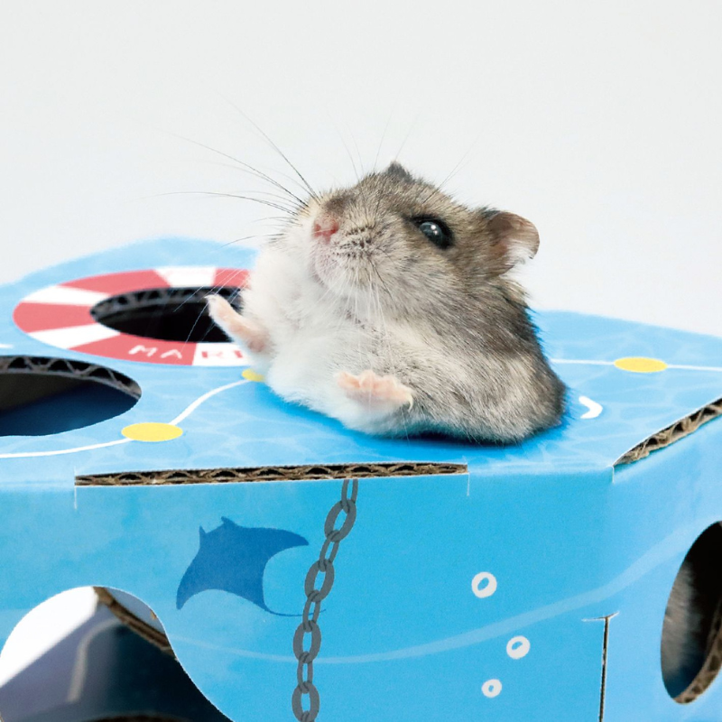 Animan Cardboard Playland for Hamsters - Sea