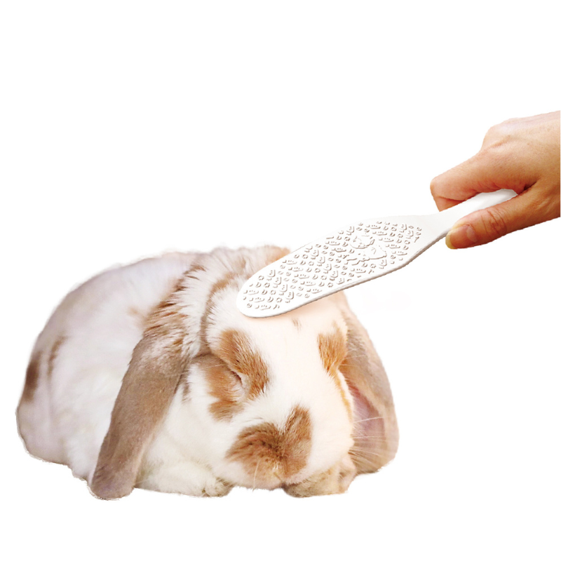 Animan Grooming Paddle Brush for Rabbits