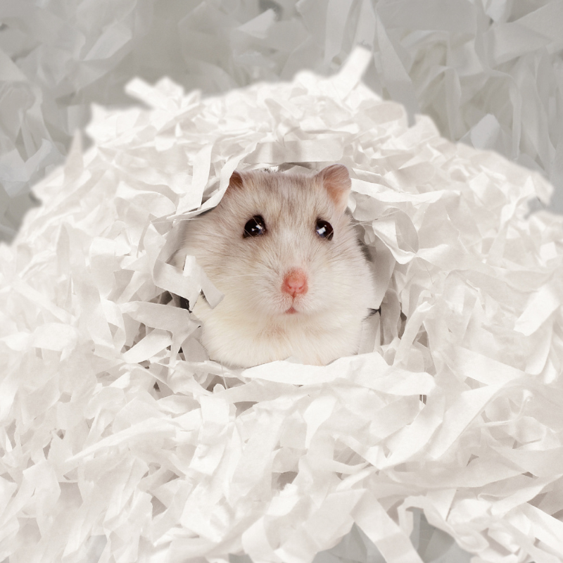 Animan Natural Paper Bedding with Freshener - 10L