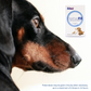 Animedx Diarrheafix 100ml