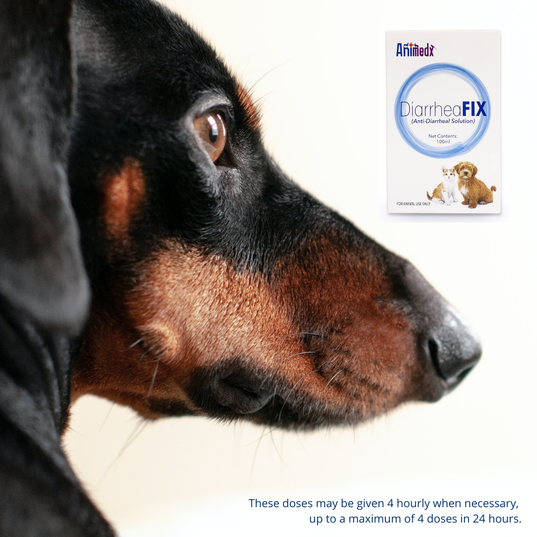 Animedx Diarrheafix 100ml