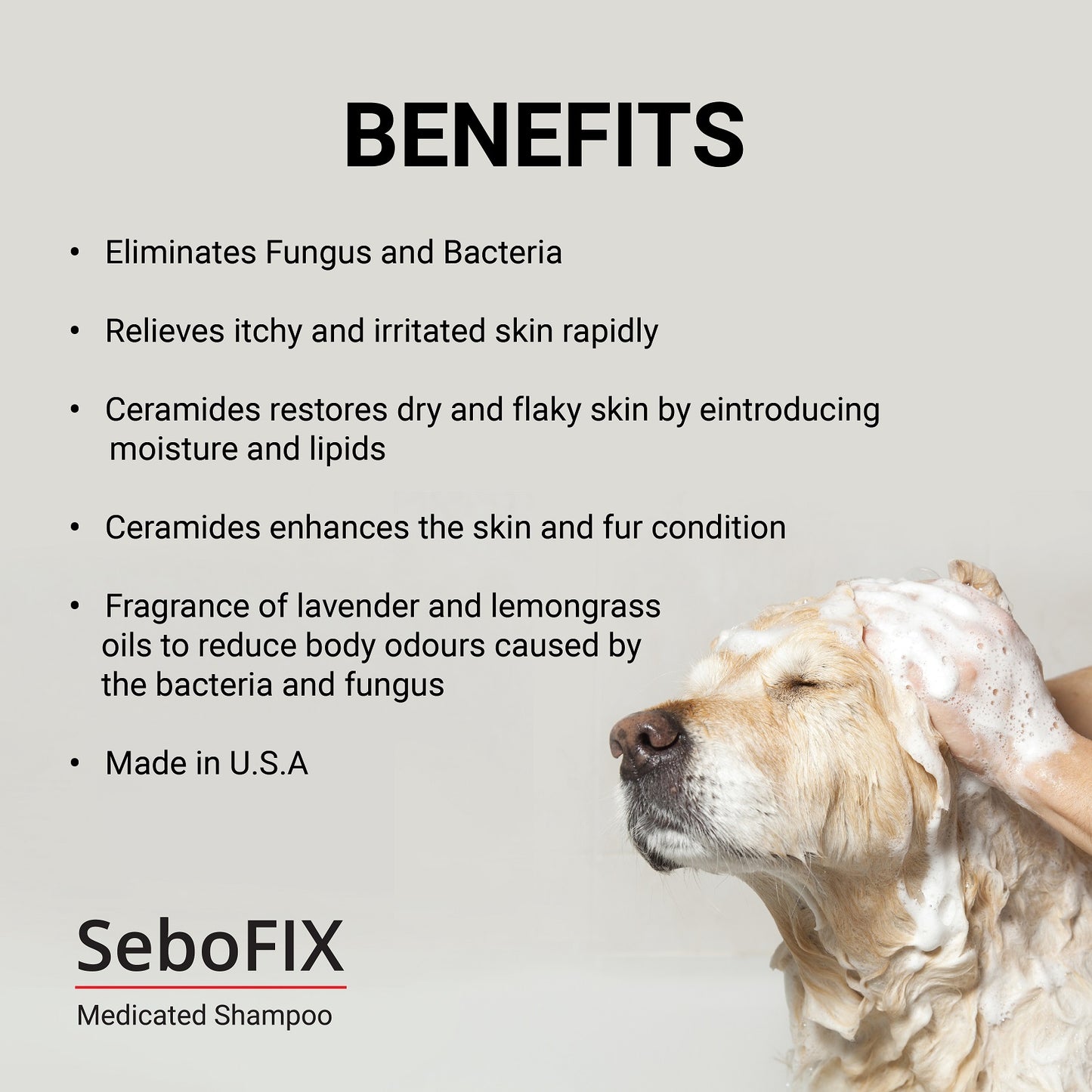 Animedx Sebofix Medicated Shampoo 250ml