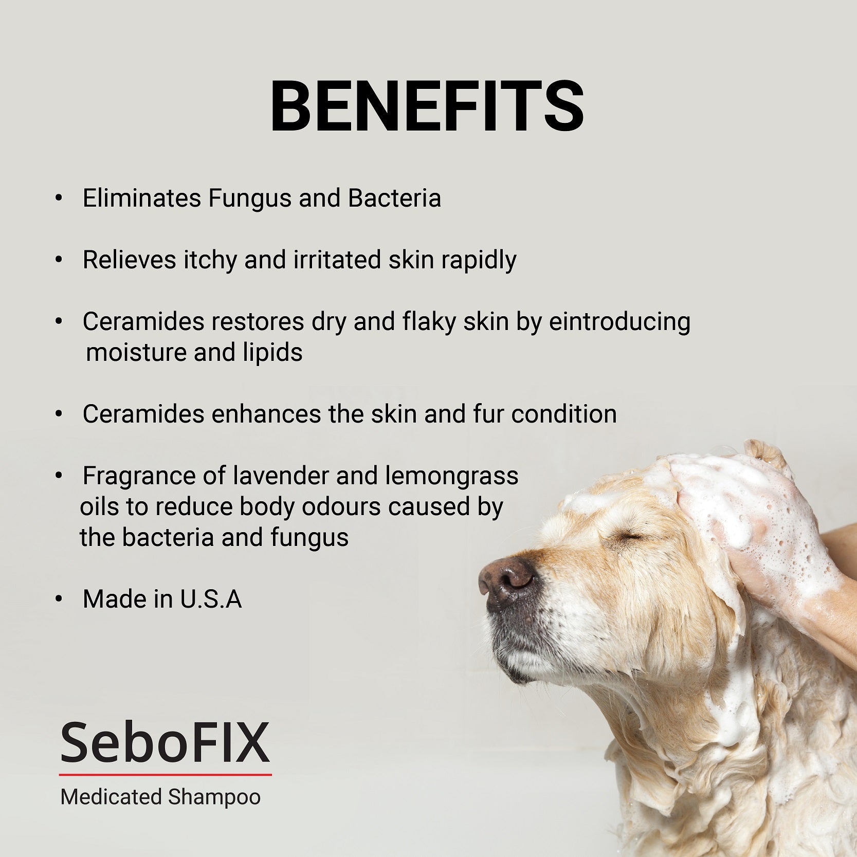 Animedx Sebofix Medicated Shampoo 250ml