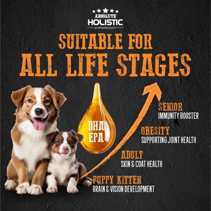 Absolute Holistic Wild Salmon Fish Oil Natural Pet Supplement for Cats & Dogs (250ml)