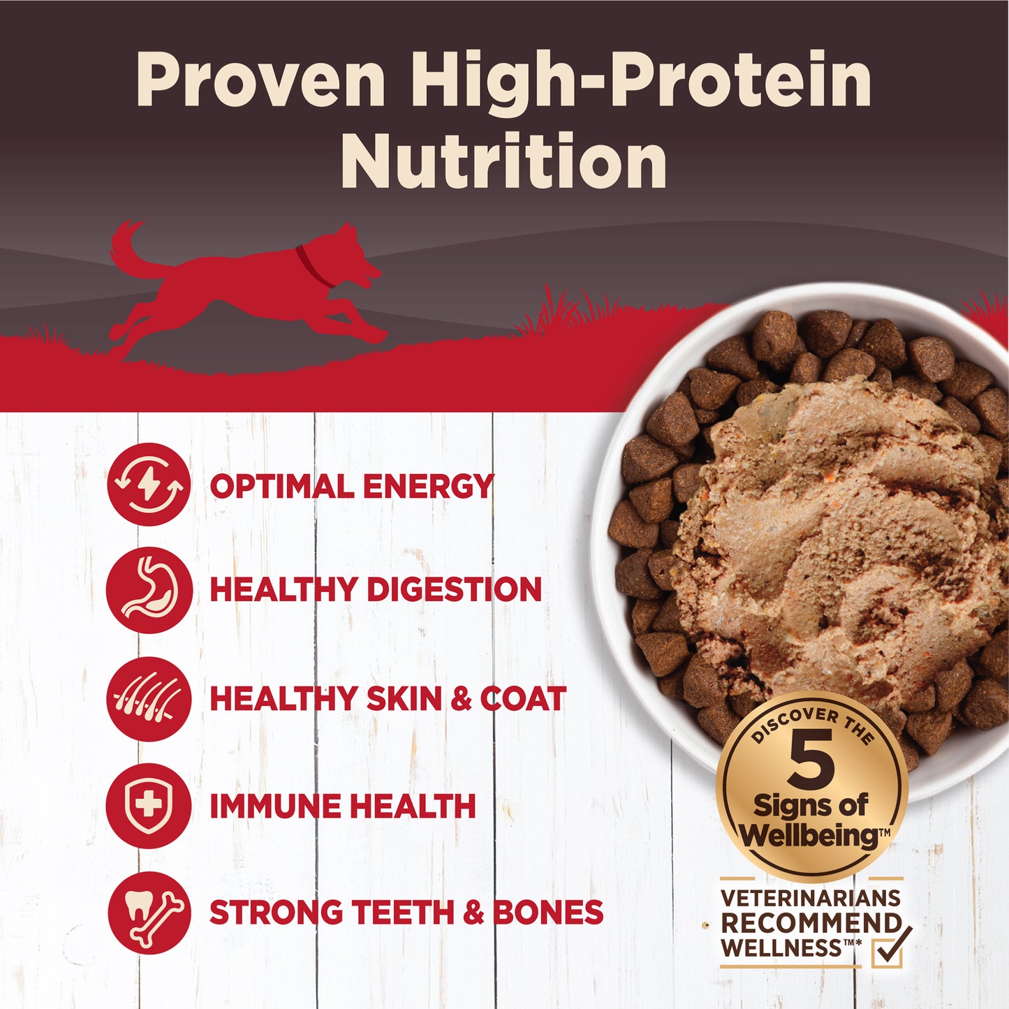 Wellness Core Grain-free Hearty Cuts In Gravy Gravy Beef & Venison Wet Dog Food 12.5oz