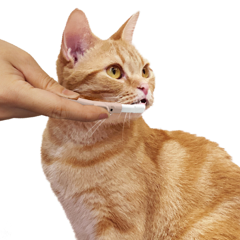 CattyMan Gentle Cat & Dog Toothbrush