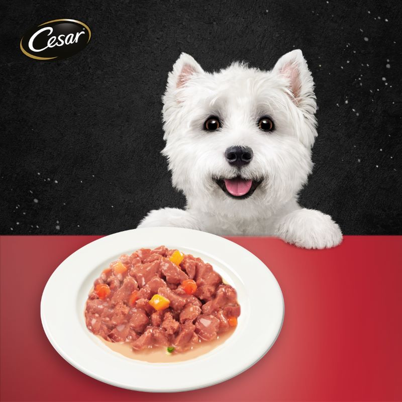 Cesar Beef Flavour with Vegetables in Gravy 70g