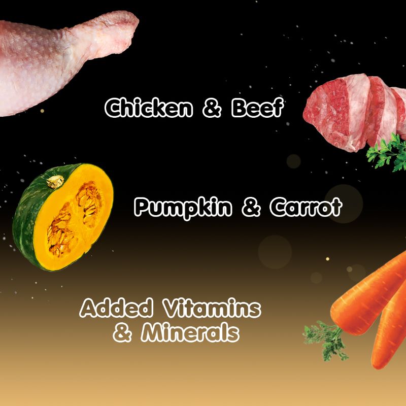 Cesar Beef Flavour with Vegetables in Gravy 70g