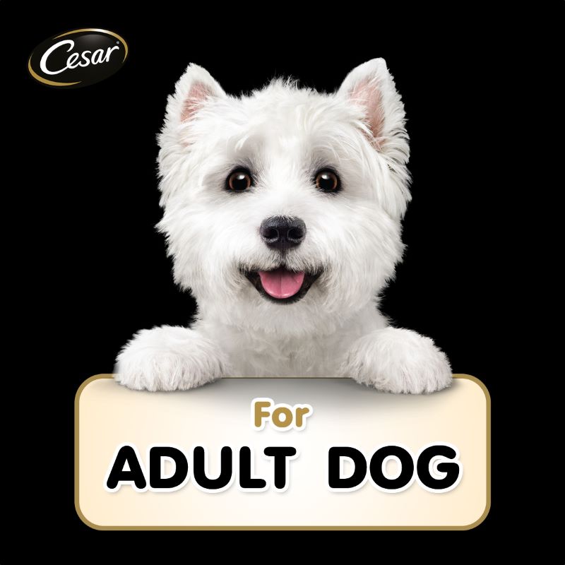 Cesar Beef Flavour with Vegetables in Gravy 70g