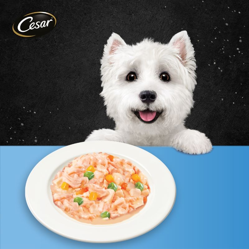 Cesar Chicken Meat with Surimi & Vegetables in Jelly 70g