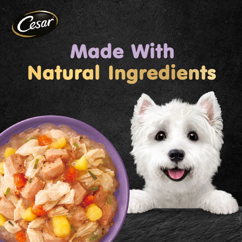 Cesar Crafted Chicken, Lamb, Carrot & Sweet Potato 60g