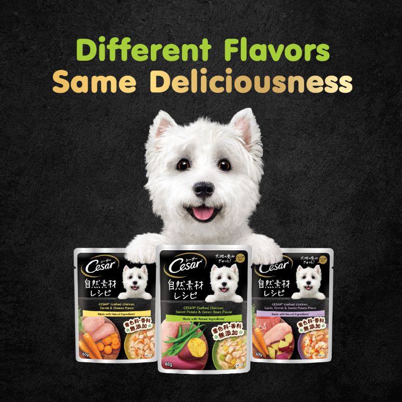 Cesar Crafted Chicken, Sweet Potato & Green Bean 60g