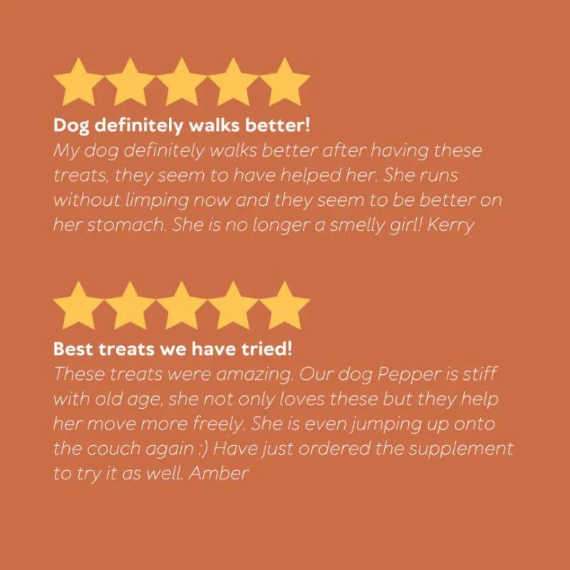 Australian Pet Organics Hip And Joint Treat - 150g