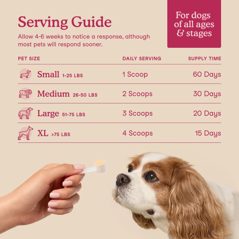 Fera Pets Kidney Support 2.12oz