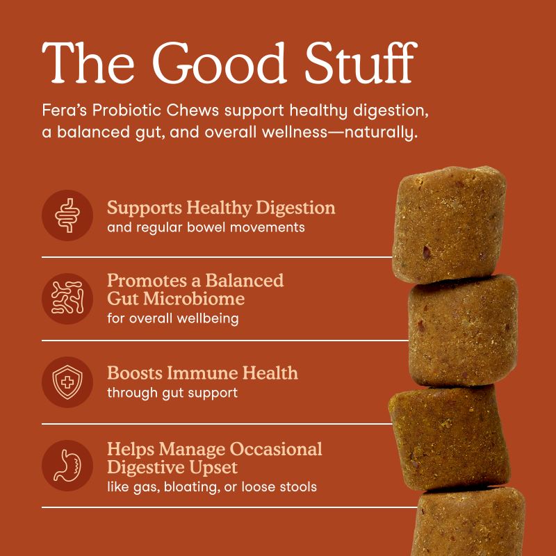 Fera Pets Probiotics Soft Chews 11.1oz