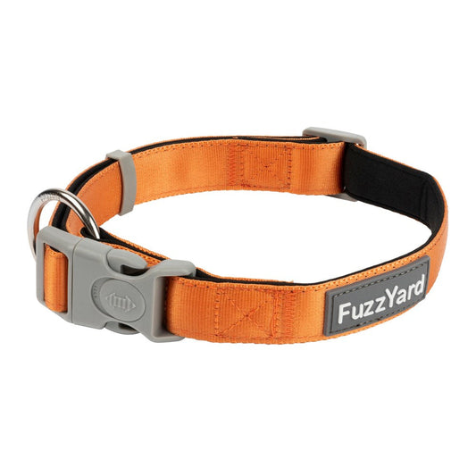 FuzzYard Dog Collar (Crush) in bright orange neoprene with a gray buckle and die-cast ring.