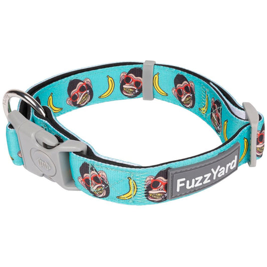 FuzzYard Gor-illz dog collar: turquoise neoprene with monkey faces, red sunglasses, bananas, and a gray buckle.