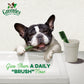 GREENIES Dog Treats for Dental Care Original Large 170g/340g
