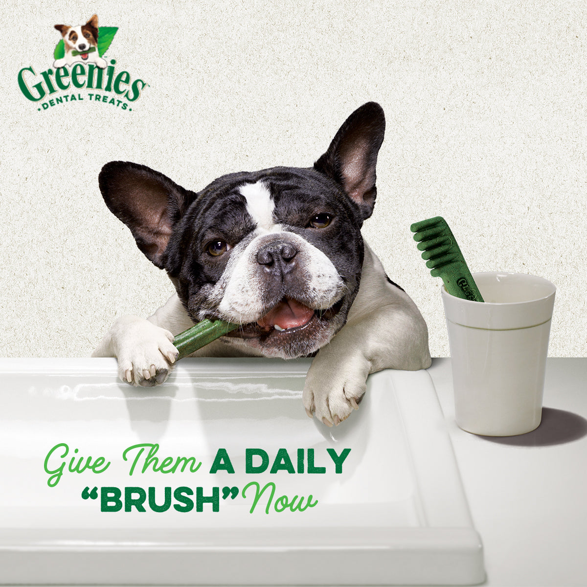 GREENIES Dog Treats for Dental Care Original Petite 85g/170g/340g