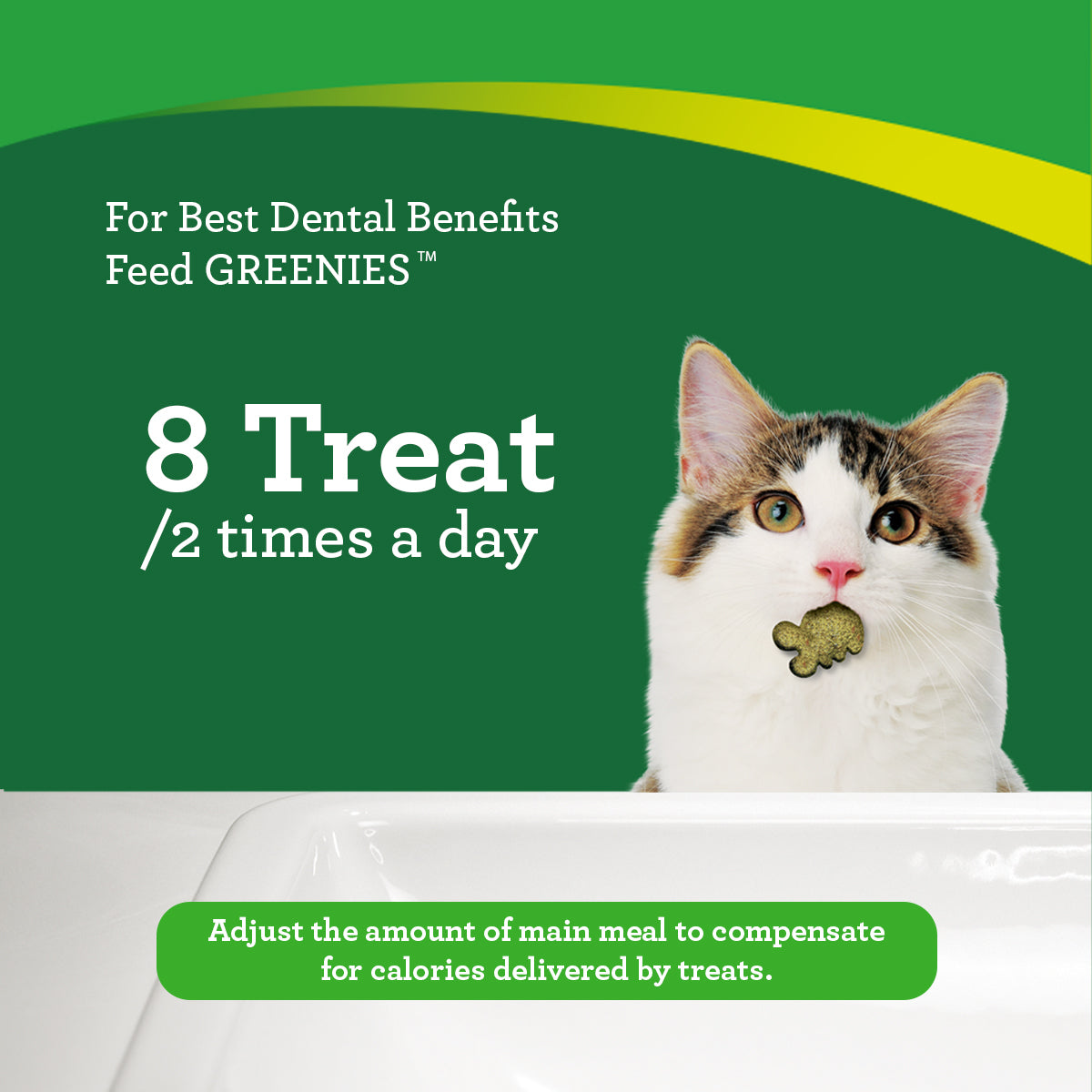 GREENIES Feline Cat Treats for Dental Care in Catnip Flavour 60g