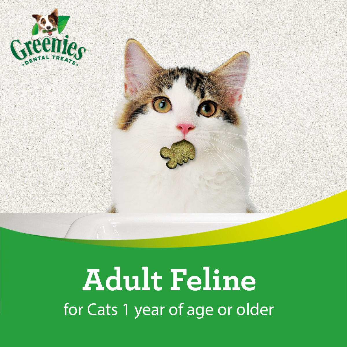 GREENIES Feline Cat Treats for Dental Care in Savory Salmon Flavour 60g
