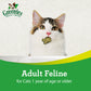 GREENIES Feline Cat Treats for Dental Care in Savory Salmon Flavour 60g