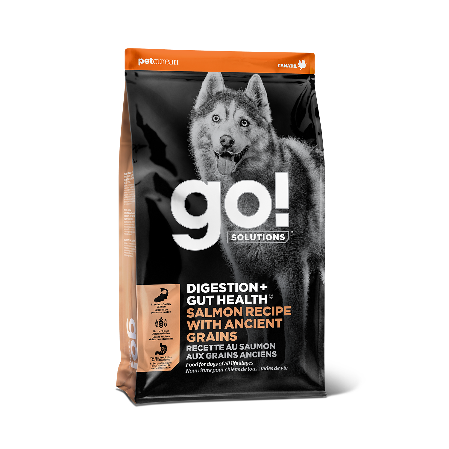 Go! Solution Digestion + Gut Health Salmon Recipe With Ancient Grains Dog Dry Food
